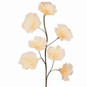 Kvist Fjäderblomma